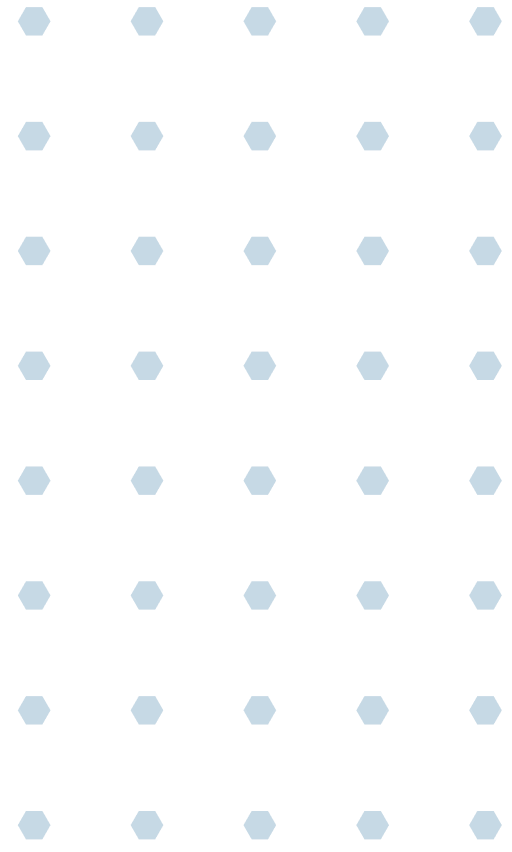 Decor-1.png